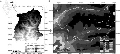 Diet Drives Differences in Reproductive Synchrony in Two Sympatric Mountain Ungulates in the Himalaya